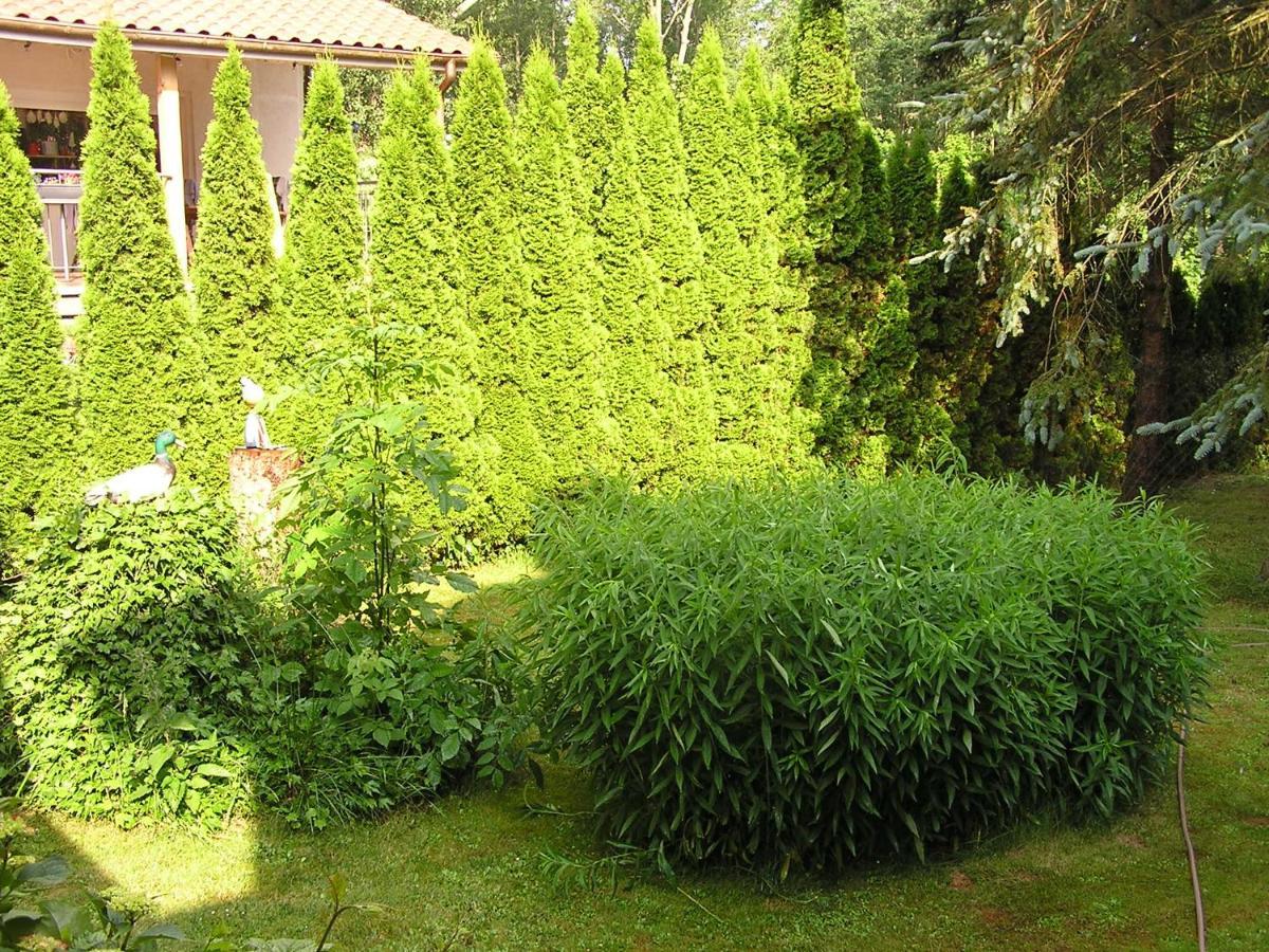 Peeneurlaub Lassan Exterior foto